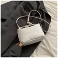 White mini crossbody bag featuring rich rabbit embossed pattern and gold hardware lock - White