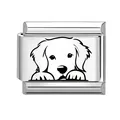 Italiaanse modulaire charm van zilver roestvrij staal met Golden Retriever puppy icoon - Golden Retriever Stijl (Huisdier Stijl 7)