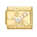 Golden Italian charm link featuring a textured starfish with iridescent gemstones - 1.0cm x 0.9cm / Starfish
