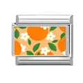 Maillon de bracelet italien en acier inoxydable avec imprimé fruit orange - Fruit 3 / 1*09 Cm [rupture De Stock Commande Minimum 100] Veuillez Contacter Le Service Client Pour Ajouter Au Stock.