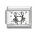 Italian modular charm in stainless steel featuring black Cancer zodiac crab design - Cancer / 1x0.9cm