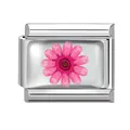 Italian modular charm in silver finish with a pink daisy flower for DIY bracelets - Pink Daisy Pattern (Pink-1)