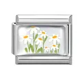 Italian charm bracelet link in stainless steel with white daisy flower design - Fresh Daisy Module (M293391)