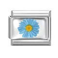 Italian modular charm link featuring a blue daisy flower on a polished steel base - Blue Small Daisy Module (M293391)