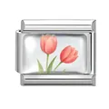 Italian modular charm featuring pink watercolor tulips in a silver stainless steel frame - Pink Tulip Module (M293391)