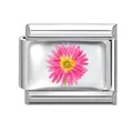 Italian charm link in silver finish with a pink hand-painted watercolor daisy pattern - Pink Daisy Module (M293391)