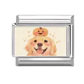 Italian charm bracelet link with golden retriever and pumpkin illustration in stainless steel - Halloween Pumpkin Golden Retriever Style