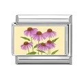 Italian charm link featuring a purple coneflower design on a stainless steel base - Purple Coneflower (Flower 5)