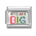 Italian charm link in stainless steel with colorful Dream Big text and flower details - Inspirational Text / 1x0.9cm / Silver