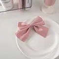 Vista dall'alto di un grazioso fiocco per capelli in raso rosa su un piatto bianco decorato - Nastro Di Cotone Largo 24# - Rosa