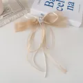 Detalle del lazo de organza champán con pedrería de corazón y largas cintas de seda - Champán