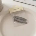 Dettaglio di due fermagli per capelli in metallo spazzolato grigio in confezione regalo - Stile Ovale Snello (4#) / 6cm / Canna di fucile