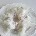 Detaillierte Makroansicht vom mintgrünen floralen Mesh-Haargummi auf weißem Porzellan - 3# Hellgrün