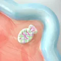 Cute green and purple checkered fish hair clip with pink wavy stripes and dots decoration - Green Pink Diagonal Plaid