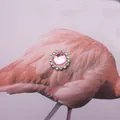 Pink rhinestone flower button with crystal border on flamingo feather background - 13mm / Pink