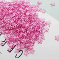 Roze harsbloemen met vijf bloemblaadjes en strass voor DIY en nageldecoratie - Roze / 10mm