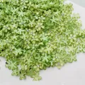 Fiori in resina verde pallido con strass centrale per creazione gioielli fai da te - Verde