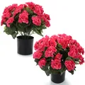 Geranios artificiales en macetas negras, set de 2 con flores de seda rosa vibrante - Rosa Roja