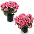 Detalle de plantas de geranio rosa artificial en macetas negras de estilo moderno - Rosa