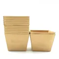 Pirottini quadrati per muffin in carta kraft marrone resistenti al calore set da 50 - Motivo Naturale