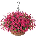 Detail van een hangende kokosmand met levendige fuchsia bloemen en groene bladeren - Rozerood