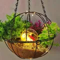 Hanging garden basket with coco liner, succulents, berries, and warm LED globe light - Dark Brown Hanging Basket Light Style