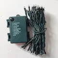Green fairy light string with a 9-mode multi-function controller for Christmas decor - Long Multiple LED Green Wire String Light (C007)