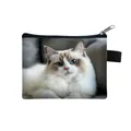 Mini zipper coin purse featuring a realistic blue-eyed Ragdoll cat print on white fabric - Ragdoll Cat Blue Eyes Style (06)