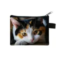 Mini cat coin purse featuring a realistic calico cat print and silver zipper closure - Calico Cat Realistic Close-up Style (08)