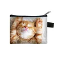 Mini cute rectangular coin purse featuring a sleeping orange tabby cat print and zipper - Sleeping Orange Kitten On Back Style (23)