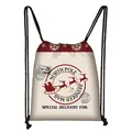 Reusable Christmas drawstring backpack featuring festive North Pole Reindeer Mail print - North Pole Reindeer Mail Style (03) / Beige (03)