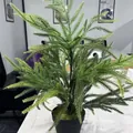 60cm kunstmatige Norfolk den in zwarte pot voor tafeldecoratie in huis en kantoor - PE Dennenboom 60cm