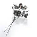 Nahaufnahme schwarzer Rosen mit bunten realistischen Augäpfeln und roten Adern - Set-Stil (B048)