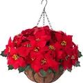 Cesto appeso con stelle di Natale artificiali e rivestimento in fibra di cocco e ferro - Stile Poinsettia Rossa (C062)