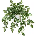 Artificial trailing Tradescantia plant with green-silver leaves in a white pot - Wandering Jew (No Pot)