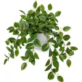 Detailed view of artificial Peperomia leaves with vivid green stripes in a white pot - Watermelon Peperomia (No Pot)