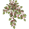 Close-up of realistic artificial vine leaves with vibrant green and pink vein textures - Red Vein Peperomia (No Pot)
