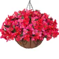 Close-up of artificial bougainvillea flowers with metal chain and coconut fiber liner - Red Pink Mix