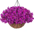 Detail of hanging basket featuring purple bougainvillea and heart-pattern metal frame - Purple
