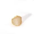 Detail of wide dome ring in gold finish featuring micro-pave white zircon stones - Open Adjustable / Wide Arch Pavé Style (W-816-3)