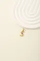 Detail of a gold stainless steel letter S pendant with sparkling zircon stone inlay - S