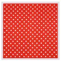 Elegante foulard in seta 60x60cm viola a pois con finitura liscia per donna chic - 60cmx60cm / Rosso con bordo bianco