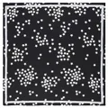 Klassieke zwarte zijden vierkante sjaal met witte sterpatronen en witte rand - Zwart / 60cm*60cm