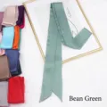 Detailed texture of 200cm bean green silk scarf ribbon shown with various color options - 200cm / Bean Green