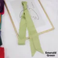Detail of emerald green satin ribbon scarf smoothly draped on a minimal white background - 200cm / Verdant