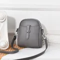 Graue Mini-Umhängetasche mit Litschi-Muster, Doppelreißverschluss und Silberbeschlägen - Grau