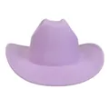 Classic wide-brimmed felt cowboy hat in soft purple with central dent crown and rolled edges - M (56-58cm) / Light Purple