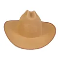 Khaki straw western cowboy hat with wide brim and dark brown fabric trim detail - M (56-58cm) / Khaki (458E)