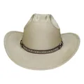 Metallic champagne western cowboy hat with ethnic geometric woven band decoration - M (56-58cm) / Flat Top Champagne