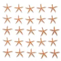 Set van 25 hars zeester hangers met oranje strepen en een realistische textuur details - Wit Oranje Zeester